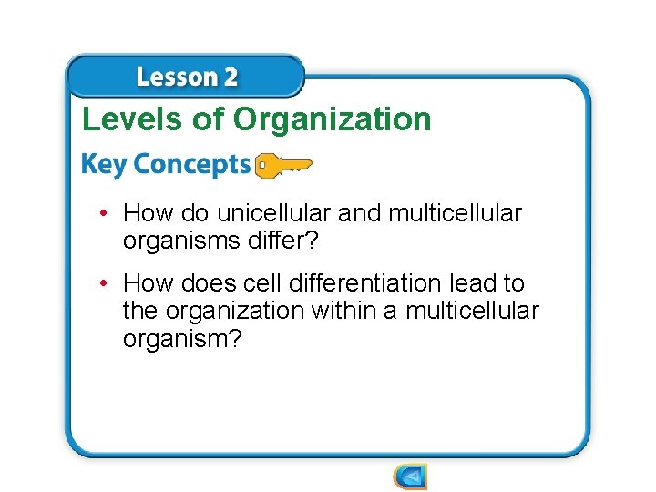 Levels of Organization • How do unicellular and multicellular organisms differ? • How does
