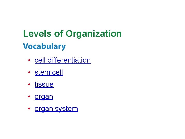Levels of Organization • cell differentiation • stem cell • tissue • organ system