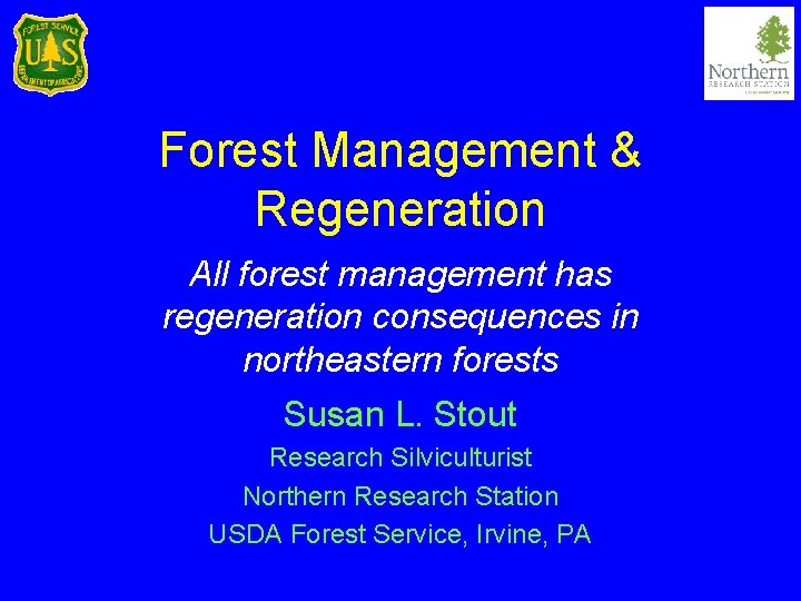 Forest Management & Regeneration All forest management has regeneration consequences in northeastern forests Susan