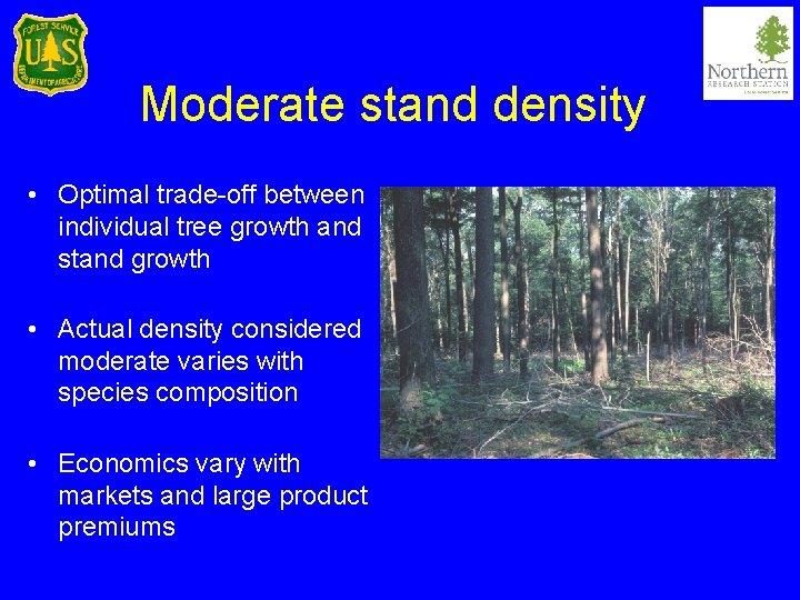 Moderate stand density • Optimal trade-off between individual tree growth and stand growth •