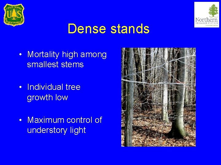 Dense stands • Mortality high among smallest stems • Individual tree growth low •