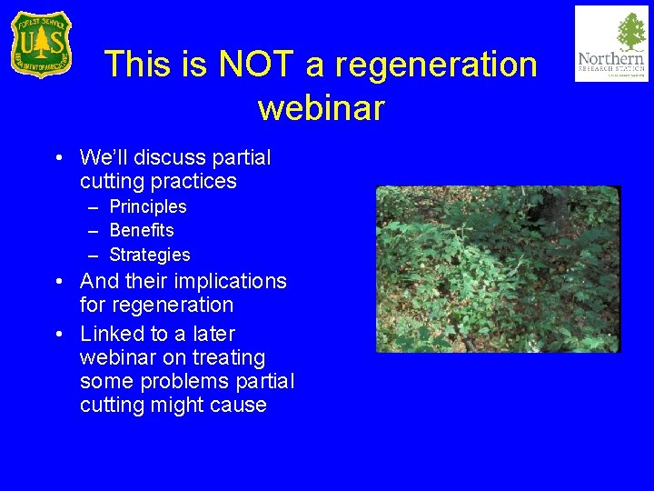 This is NOT a regeneration webinar • We’ll discuss partial cutting practices – Principles