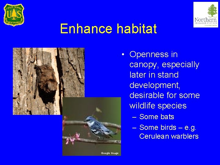 Enhance habitat • Openness in canopy, especially later in stand development, desirable for some
