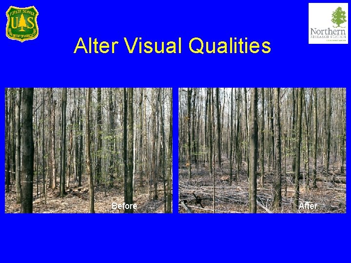 Alter Visual Qualities Before After 