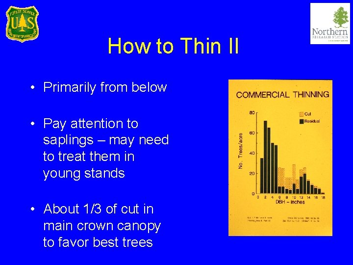 How to Thin II • Primarily from below • Pay attention to saplings –