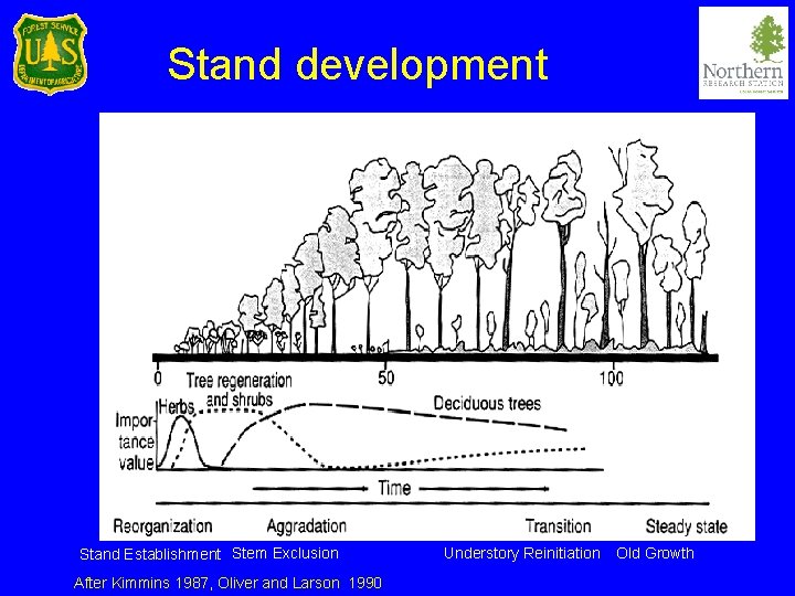 Stand development Stand Establishment Stem Exclusion After Kimmins 1987, Oliver and Larson 1990 Understory