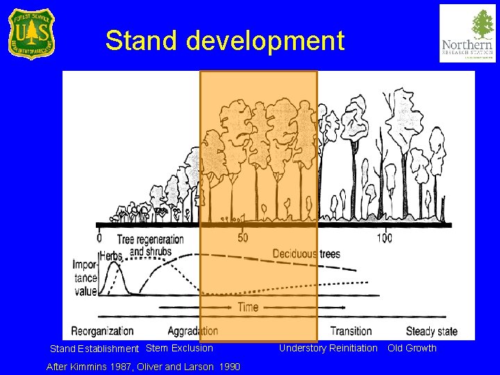 Stand development Stand Establishment Stem Exclusion After Kimmins 1987, Oliver and Larson 1990 Understory