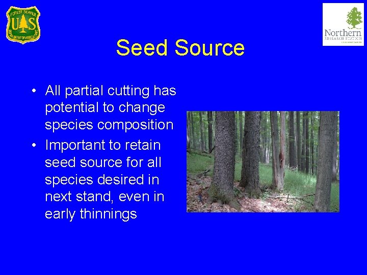 Seed Source • All partial cutting has potential to change species composition • Important