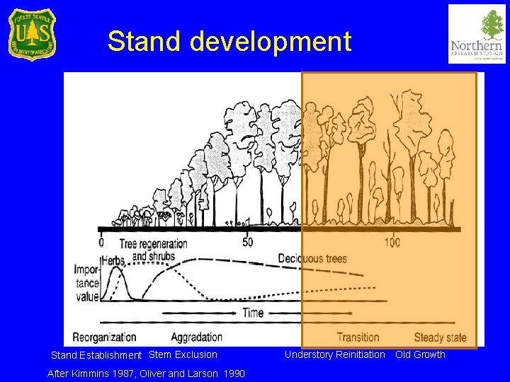 Stand development Stand Establishment Stem Exclusion After Kimmins 1987, Oliver and Larson 1990 Understory