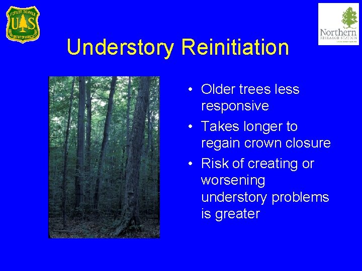 Understory Reinitiation • Older trees less responsive • Takes longer to regain crown closure