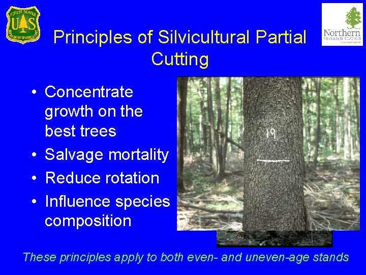 Principles of Silvicultural Partial Cutting • Concentrate growth on the best trees • Salvage