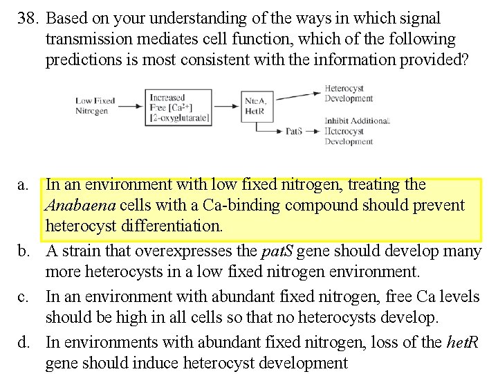 38. Based on your understanding of the ways in which signal transmission mediates cell