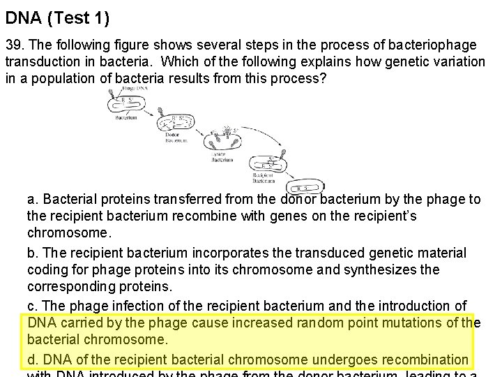 DNA (Test 1) 39. The following figure shows several steps in the process of