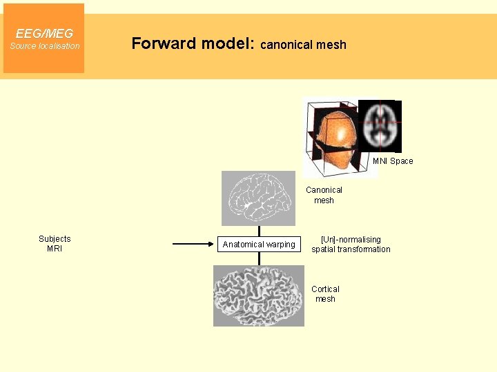 EEG/MEG Source localisation Forward model: canonical mesh MNI Space Canonical mesh Subjects MRI Anatomical