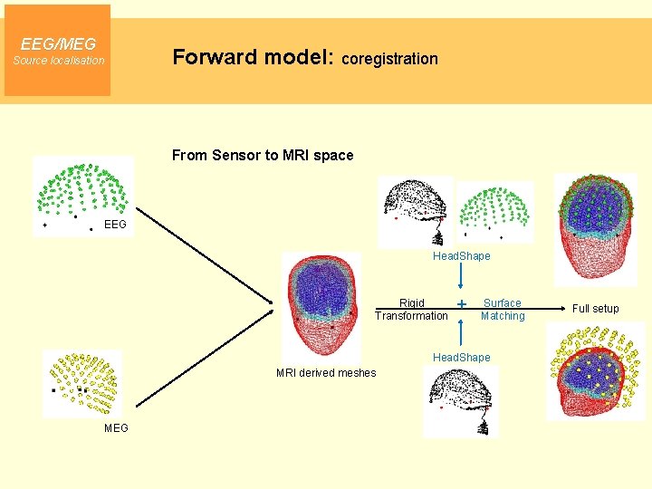 EEG/MEG Forward model: coregistration Source localisation From Sensor to MRI space EEG Head. Shape