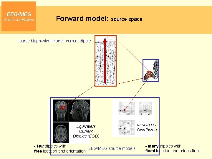 EEG/MEG Source localisation Forward model: source space source biophysical model: current dipole Equivalent Current