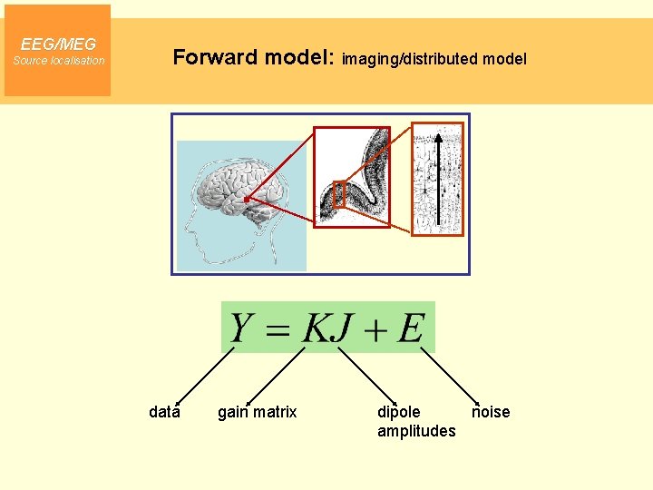 EEG/MEG Source localisation Forward model: imaging/distributed model data gain matrix dipole noise amplitudes 