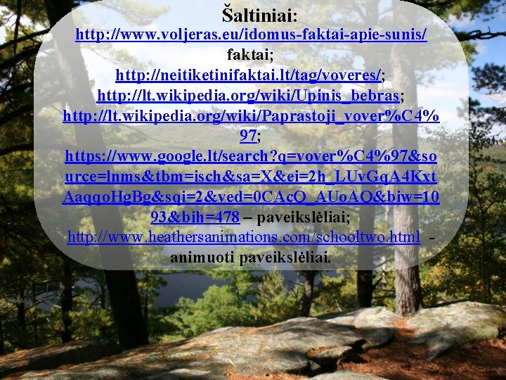 Šaltiniai: http: //www. voljeras. eu/idomus-faktai-apie-sunis/ faktai; http: //neitiketinifaktai. lt/tag/voveres/; http: //lt. wikipedia. org/wiki/Upinis_bebras; http: