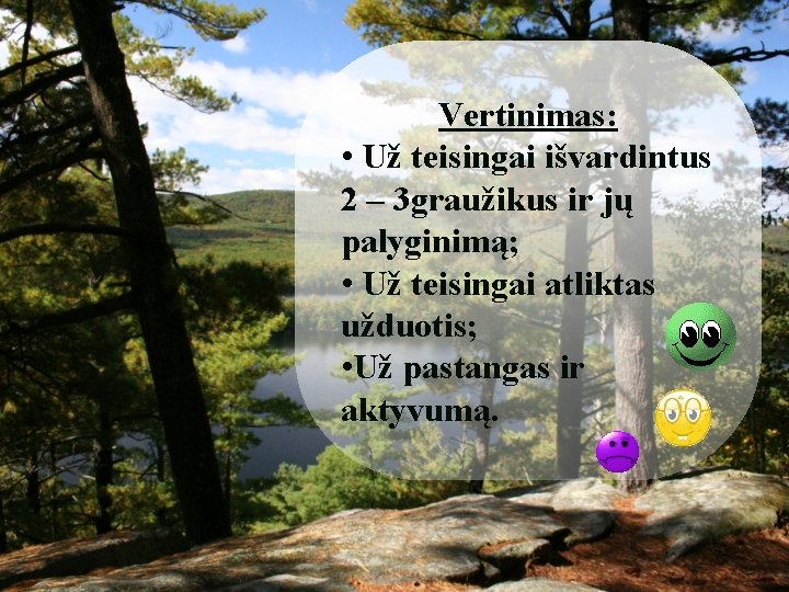 Vertinimas: • Už teisingai išvardintus 2 – 3 graužikus ir jų palyginimą; • Už