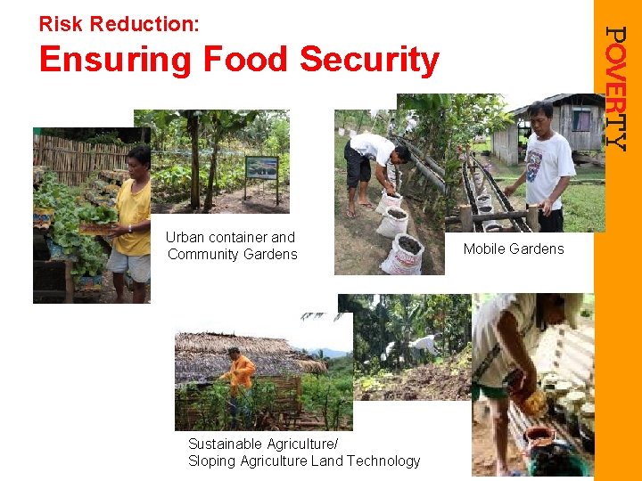 Risk Reduction: Ensuring Food Security Urban container and Community Gardens Sustainable Agriculture/ Sloping Agriculture