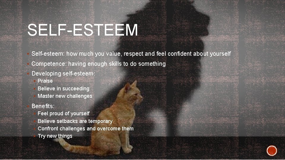 SELF-ESTEEM § Self-esteem: how much you value, respect and feel confident about yourself §