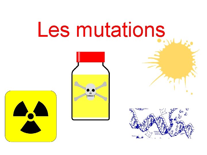 Les mutations Les mutations