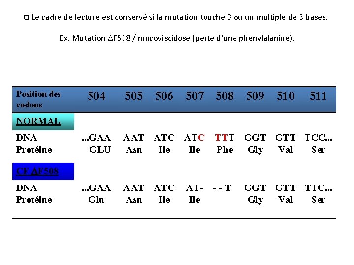 q Le cadre de lecture est conservé si la mutation touche 3 ou un q Le cadre de lecture est conservé si la mutation touche 3 ou un