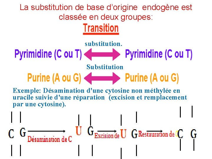 La substitution de base d’origine endogène est classée en deux groupes: substitution. Substitution Exemple: La substitution de base d’origine endogène est classée en deux groupes: substitution. Substitution Exemple: