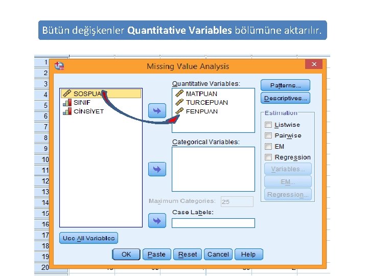 Bütün değişkenler Quantitative Variables bölümüne aktarılır. 