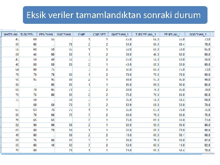 Eksik veriler tamamlandıktan sonraki durum 