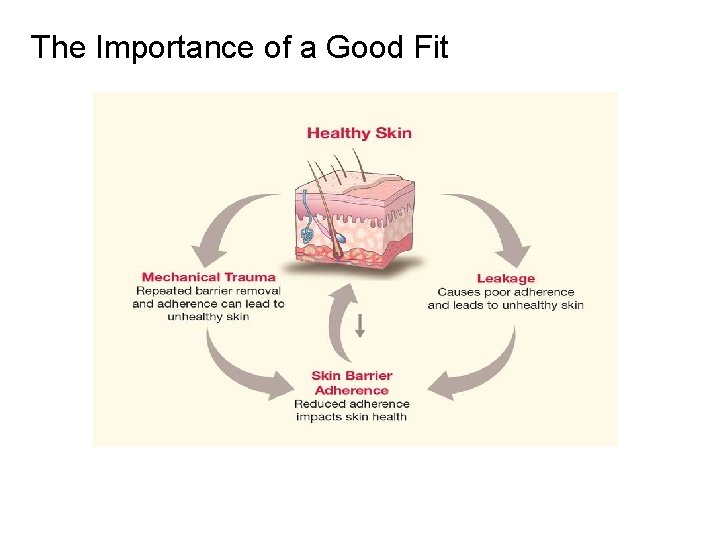 The Importance of a Good Fit 