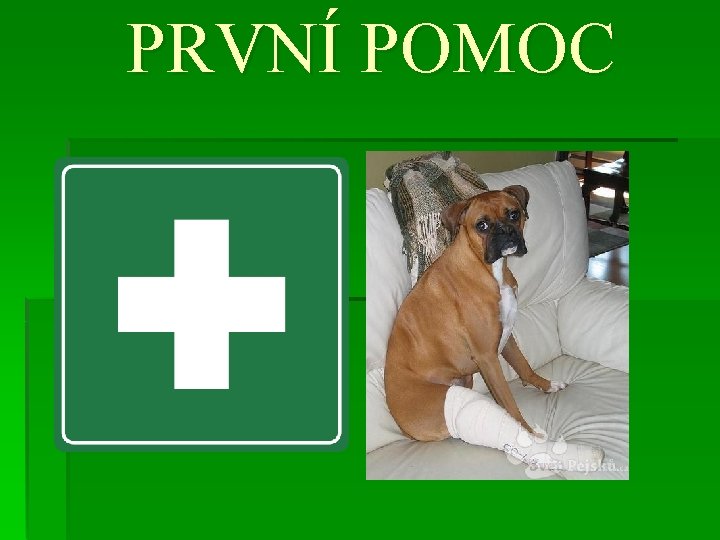 PRVNÍ POMOC 