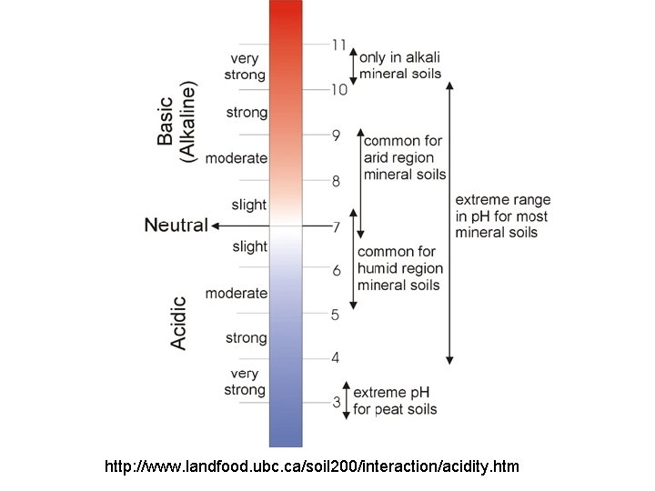 http: //www. landfood. ubc. ca/soil 200/interaction/acidity. htm http: //www. landfood. ubc. ca/soil 200/interaction/acidity. htm