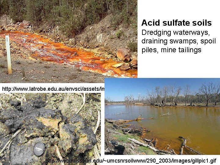 Acid sulfate soils Dredging waterways, draining swamps, spoil piles, mine tailings http: //www. latrobe. Acid sulfate soils Dredging waterways, draining swamps, spoil piles, mine tailings http: //www. latrobe.