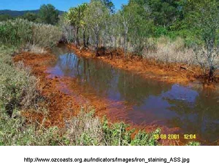 http: //www. ozcoasts. org. au/indicators/Images/iron_staining_ASS. jpg http: //www. ozcoasts. org. au/indicators/Images/iron_staining_ASS. jpg