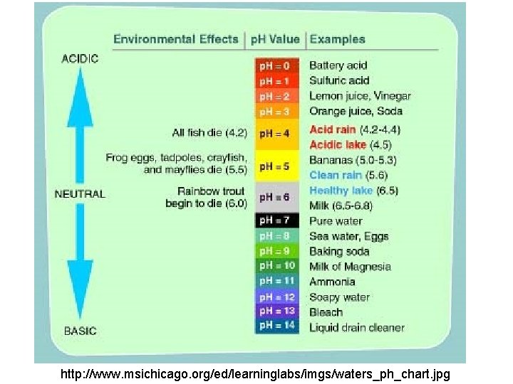 http: //www. msichicago. org/ed/learninglabs/imgs/waters_ph_chart. jpg http: //www. msichicago. org/ed/learninglabs/imgs/waters_ph_chart. jpg