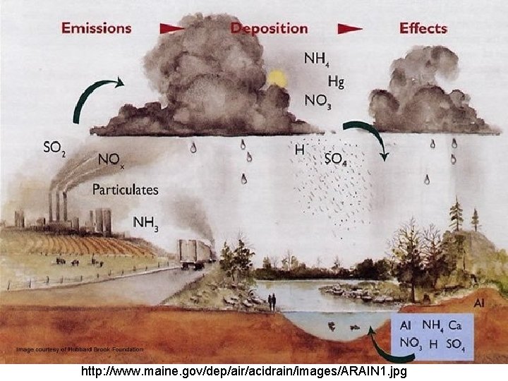 http: //www. maine. gov/dep/air/acidrain/images/ARAIN 1. jpg http: //www. maine. gov/dep/air/acidrain/images/ARAIN 1. jpg