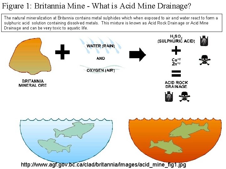 http: //www. agf. gov. bc. ca/clad/britannia/images/acid_mine_fig 1. jpg http: //www. agf. gov. bc. ca/clad/britannia/images/acid_mine_fig 1. jpg