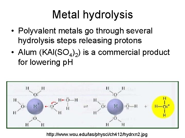 Metal hydrolysis • Polyvalent metals go through several hydrolysis steps releasing protons • Alum Metal hydrolysis • Polyvalent metals go through several hydrolysis steps releasing protons • Alum