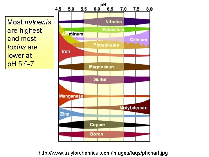 Most nutrients are highest and most toxins are lower at p. H 5. 5 Most nutrients are highest and most toxins are lower at p. H 5. 5