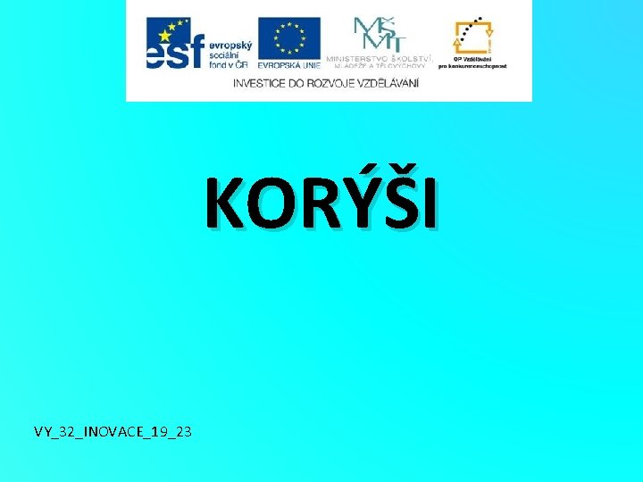 KORÝŠI VY_32_INOVACE_19_23 