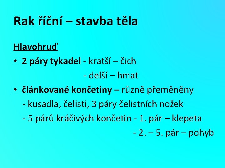 Rak říční – stavba těla Hlavohruď • 2 páry tykadel - kratší – čich