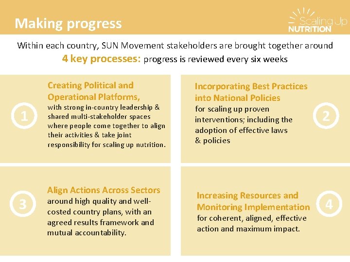 Making progress Within each country, SUN Movement stakeholders are brought together around 4 key Making progress Within each country, SUN Movement stakeholders are brought together around 4 key