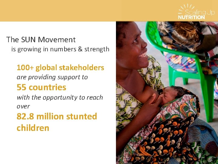 The SUN Movement is growing in numbers & strength 100+ global stakeholders are providing The SUN Movement is growing in numbers & strength 100+ global stakeholders are providing