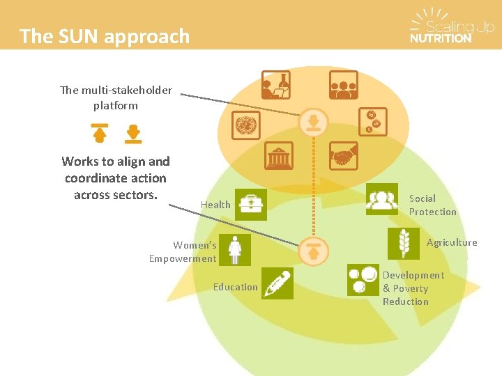 The SUN approach The multi-stakeholder platform Works to align and coordinate action across sectors. The SUN approach The multi-stakeholder platform Works to align and coordinate action across sectors.