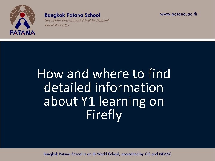 How and where to find detailed information about Y 1 learning on Firefly Bangkok