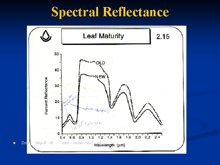 Spectral Reflectance n Source: http: //web. pdx. edu/~emch/rs/vh 3. html 