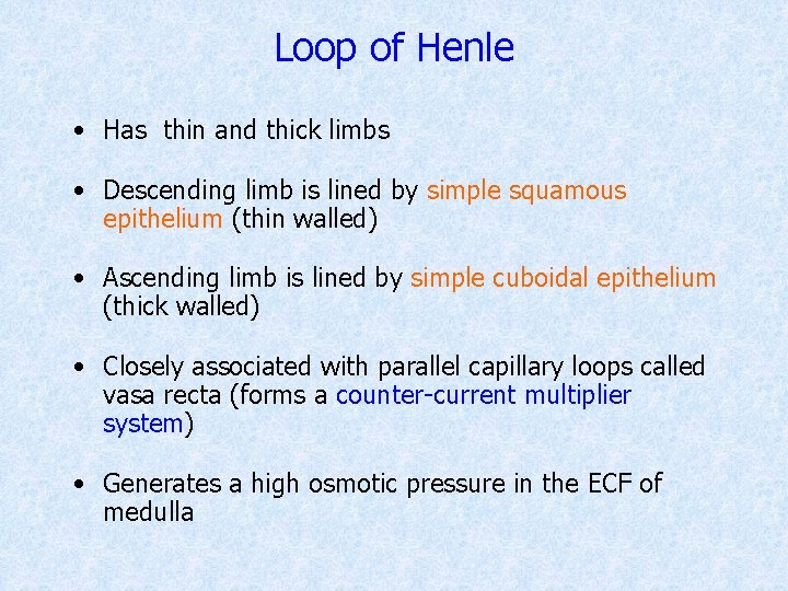 Loop of Henle • Has thin and thick limbs • Descending limb is lined