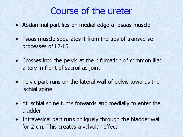 Course of the ureter • Abdominal part lies on medial edge of psoas muscle
