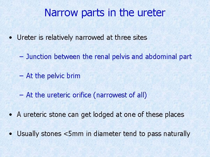 Narrow parts in the ureter • Ureter is relatively narrowed at three sites –